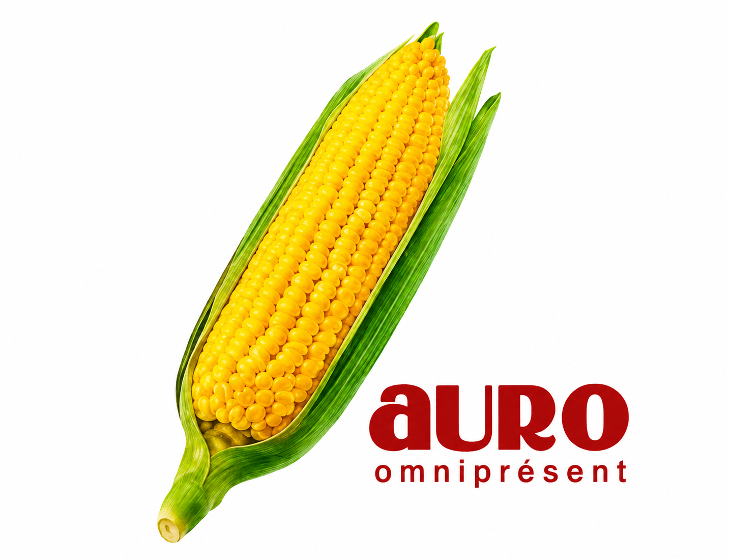 Auro Sundaram